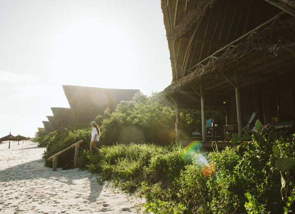 About Foxes Safari Camps