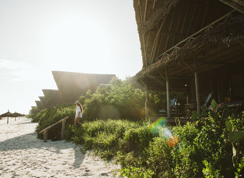 About Foxes Safari Camps