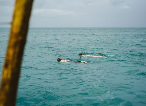 Snorkelling