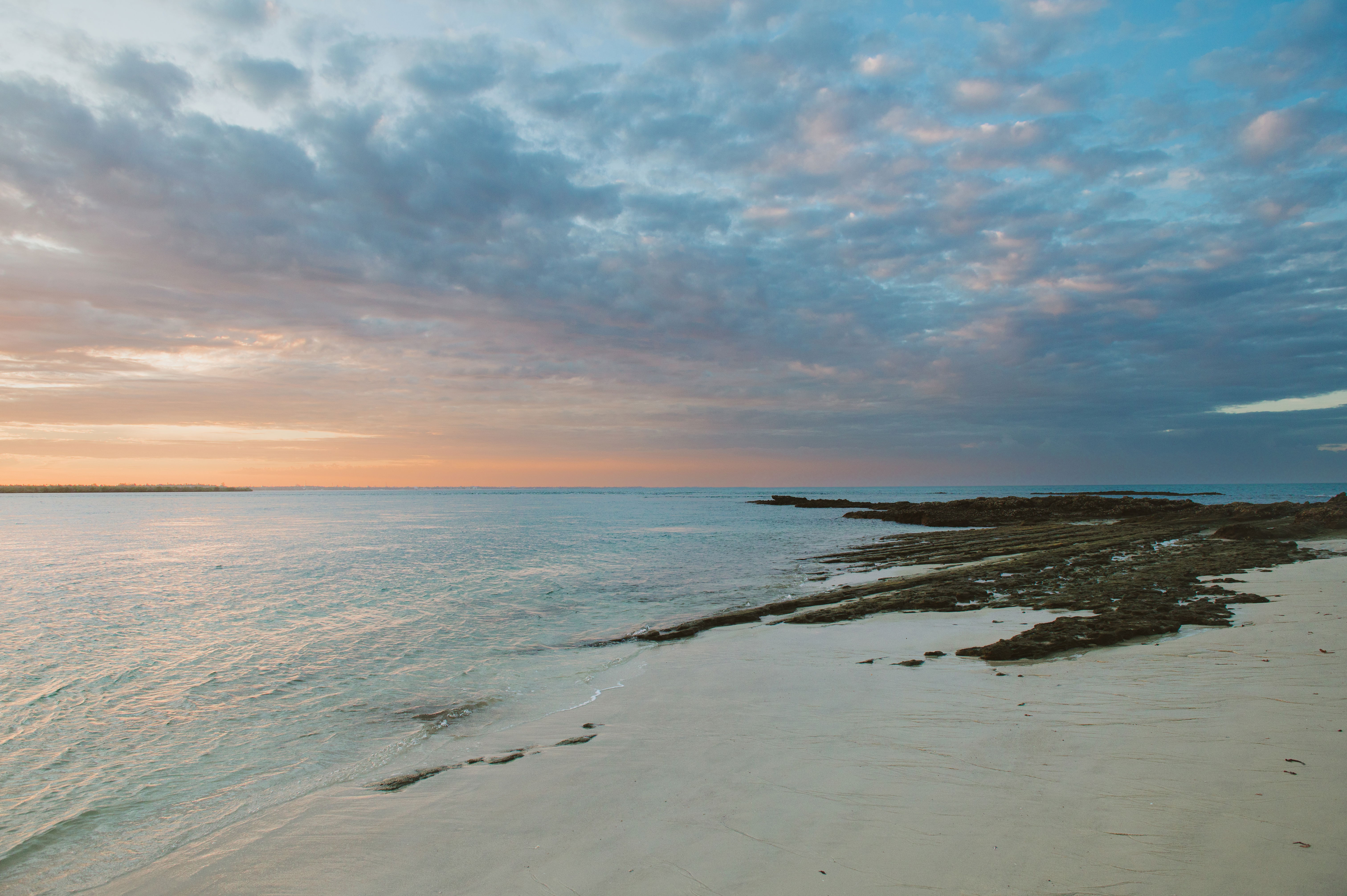 The Coast