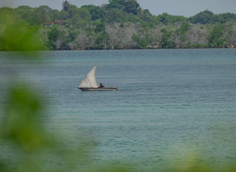 History of Tanzania's Swahili Coast