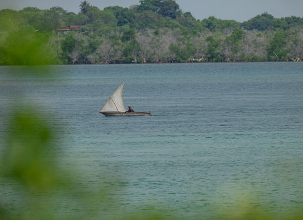 History of Tanzania's Swahili Coast