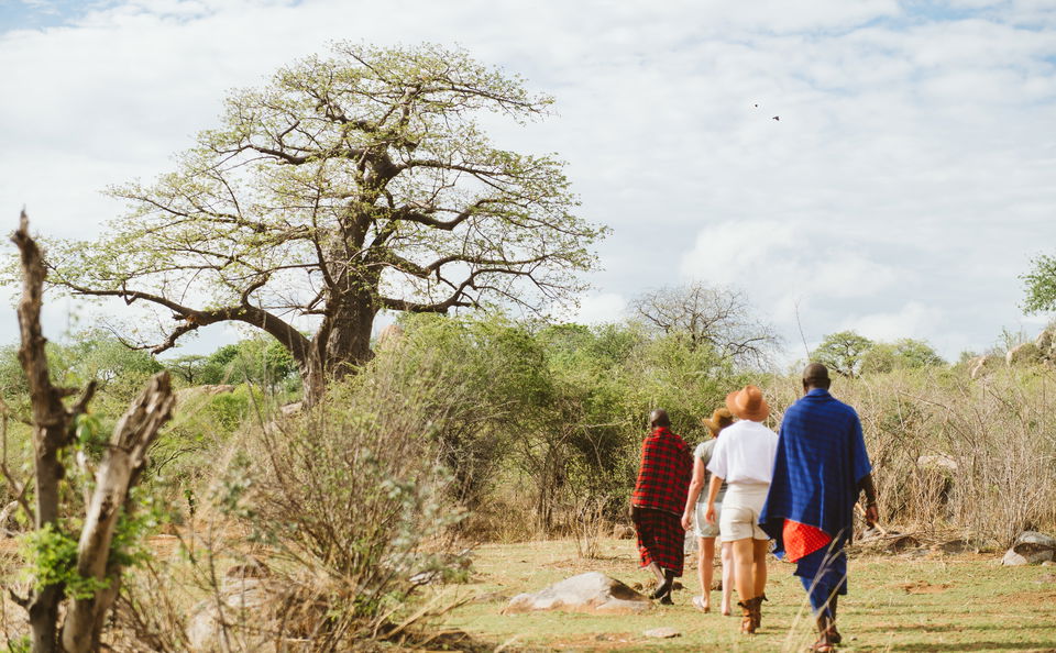 Fly Camping in Ruaha National Park