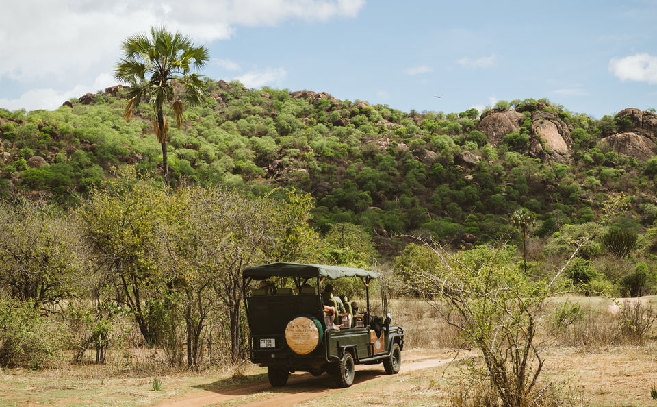 Private Game Drives