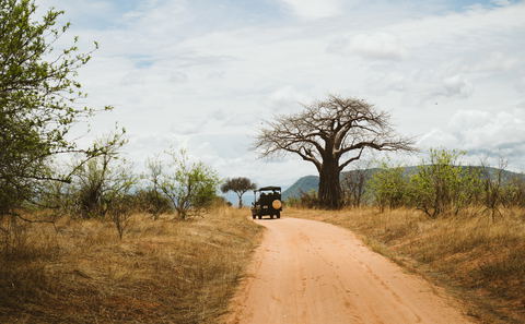 Game Drives in Ruaha National Park