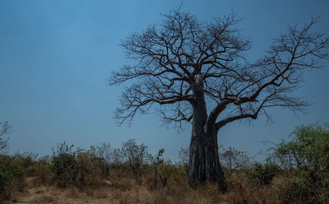 History of Ruaha National Park