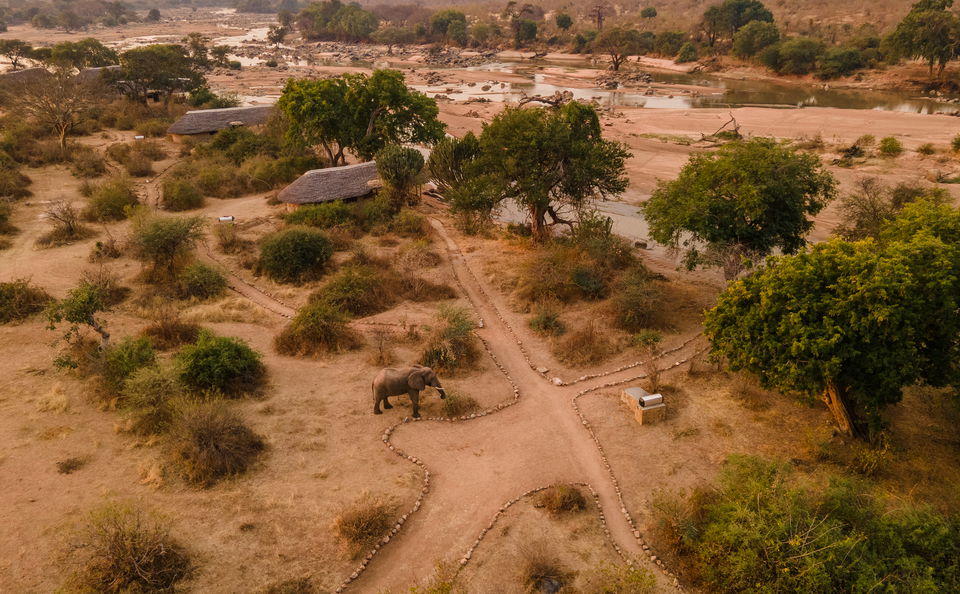 Hot Air Balloon Safaris in Ruaha National Park