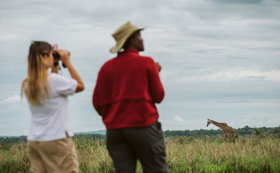 Walking Safaris
