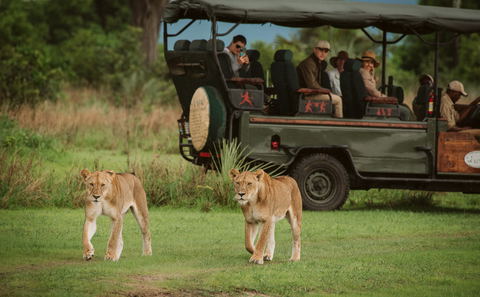 Private Game Drives