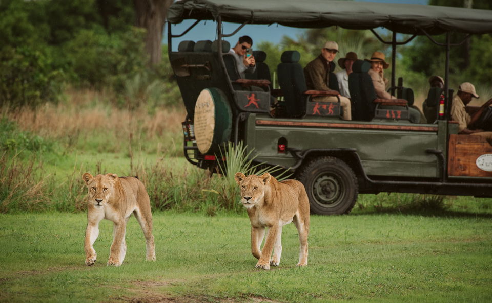 Private Game Drives