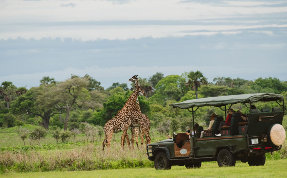 Game Drives
