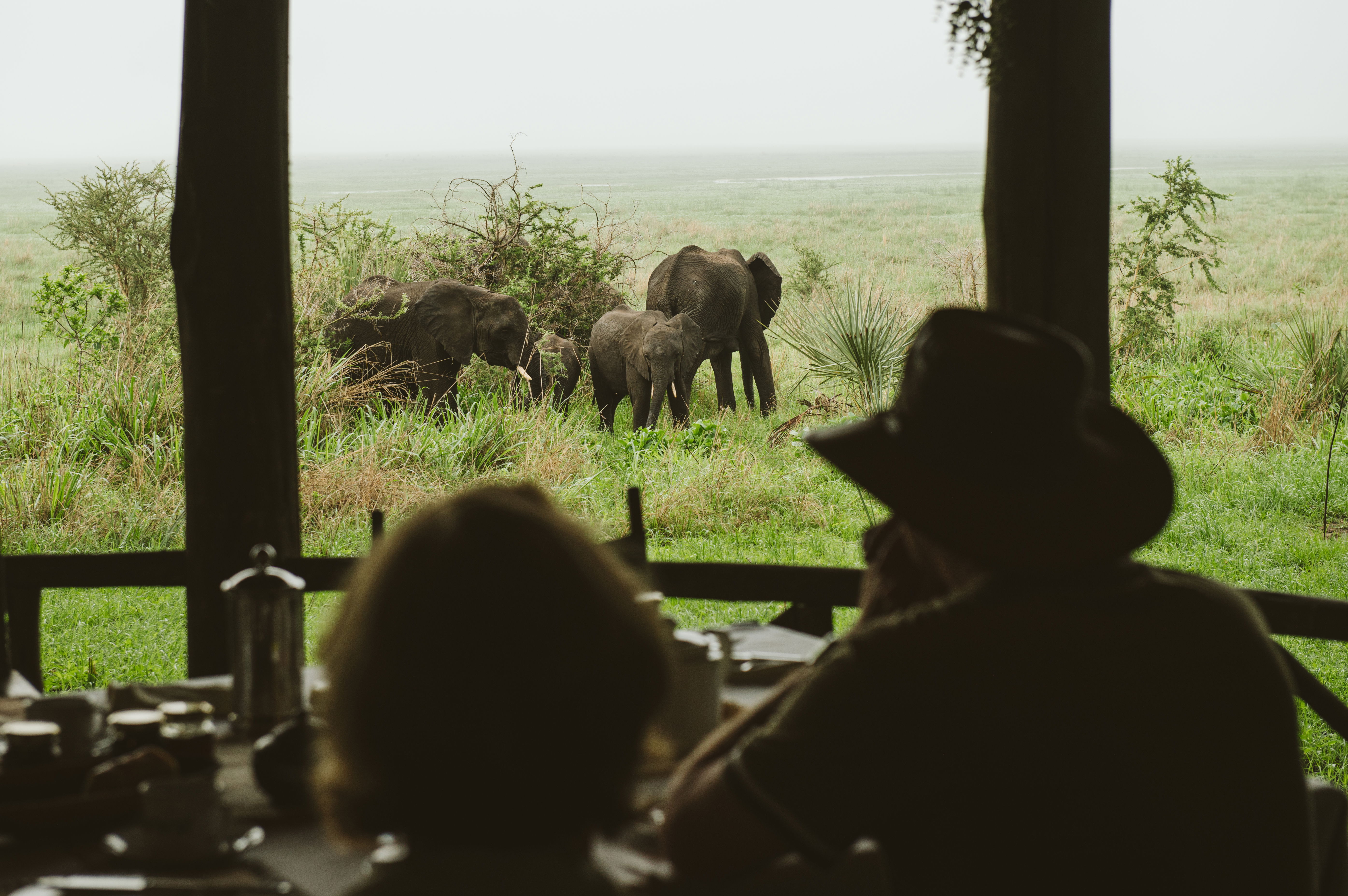 新政 - 【camplife】新政紫八咫 SAFARI WEST - Updated 2025 Campground Reviews (Santa Rosa