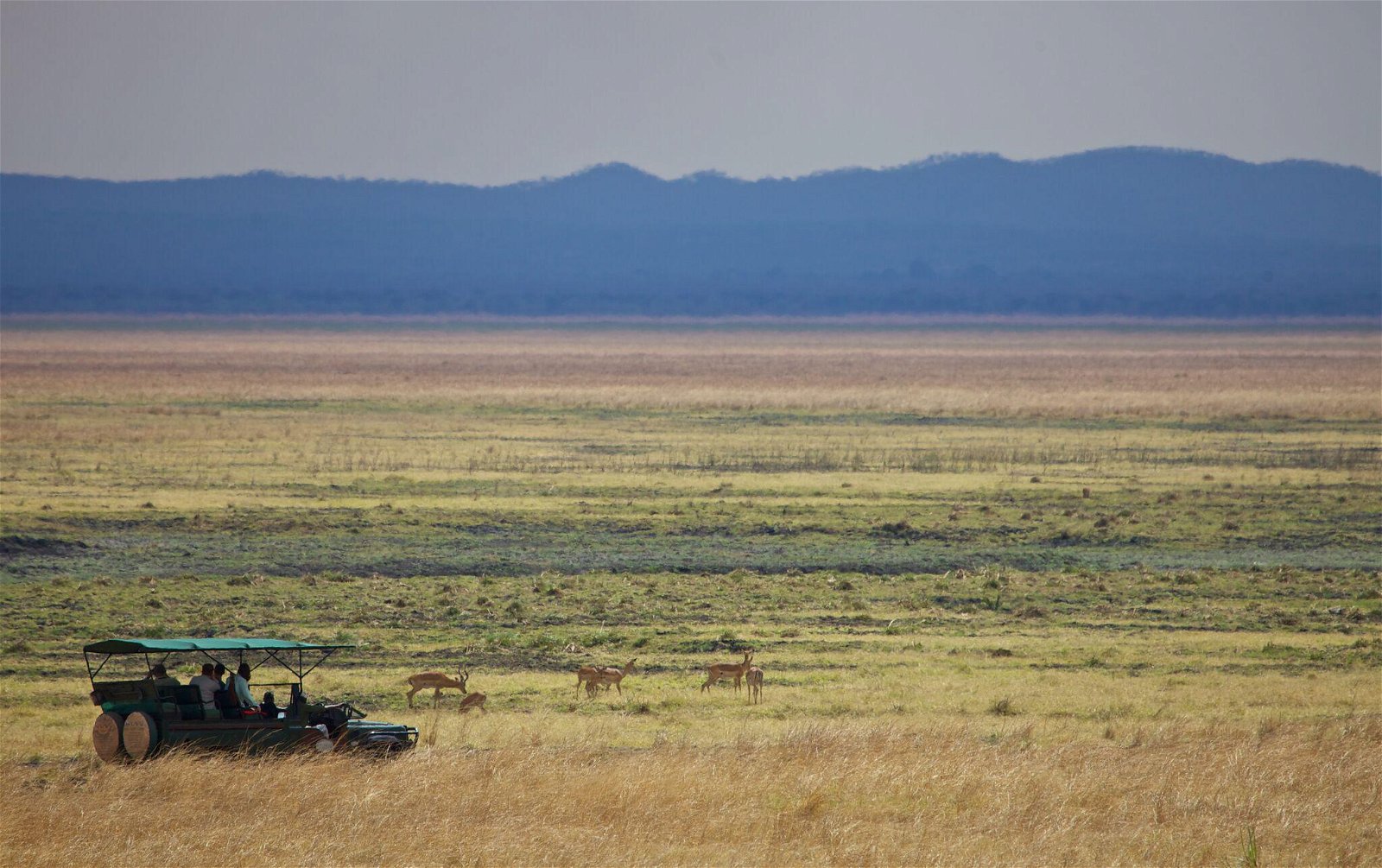 The National Park