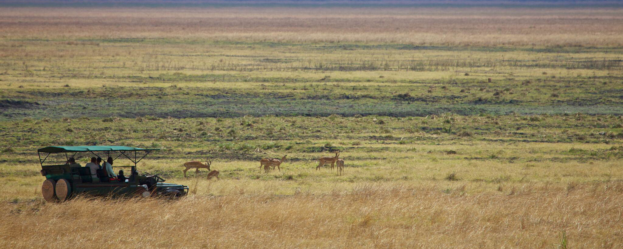 The National Park