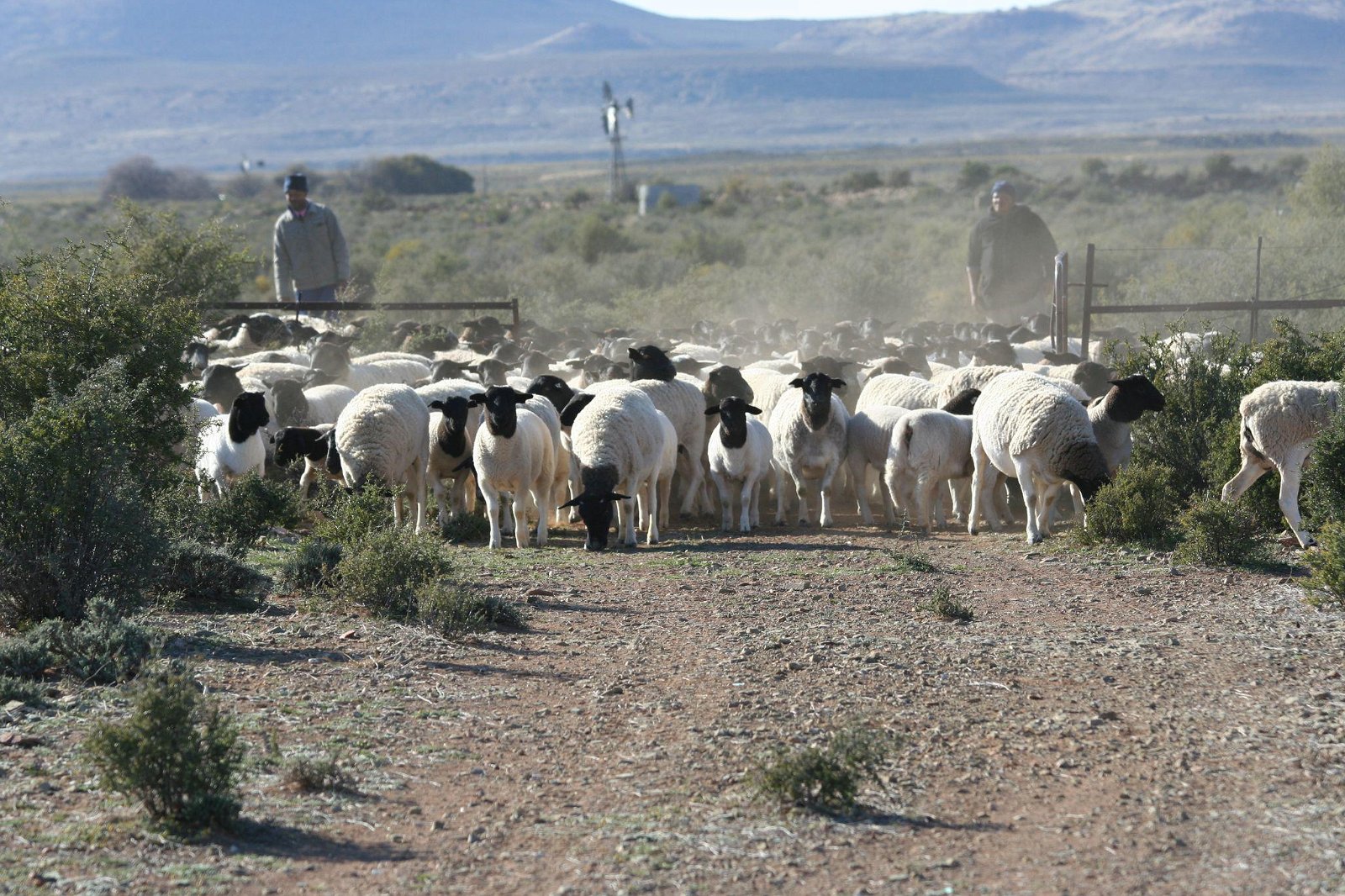 accommodation Sutherland