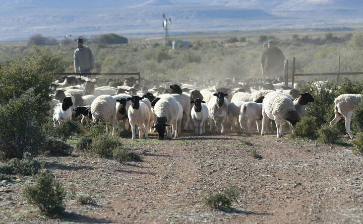 accommodation Sutherland