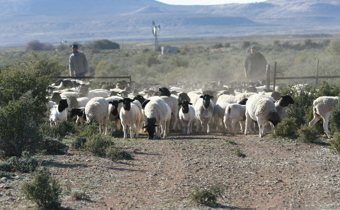 accommodation Sutherland