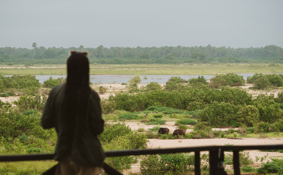 Explore the Wonders of Nyerere National Park