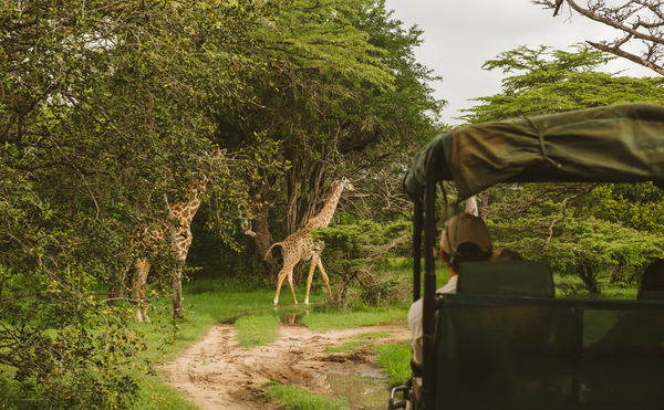Private Game Drives