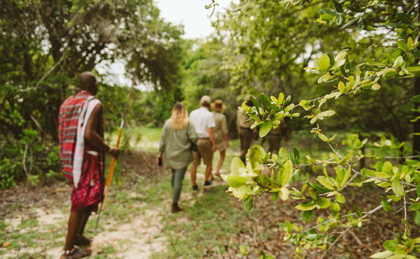 Guided Walking Safaris