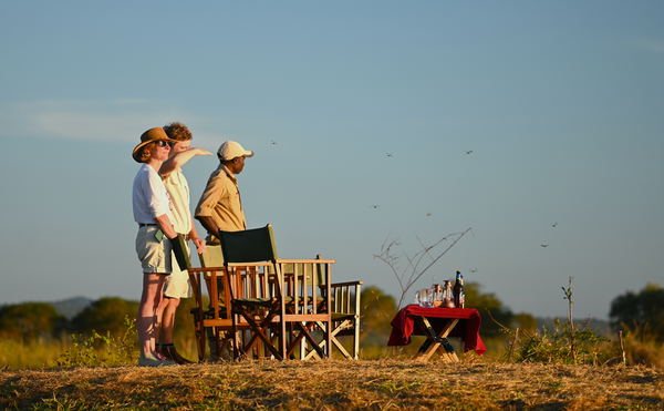 Picnic Lunches in the Bush