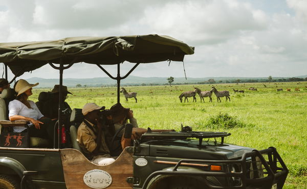 Private Game Drives