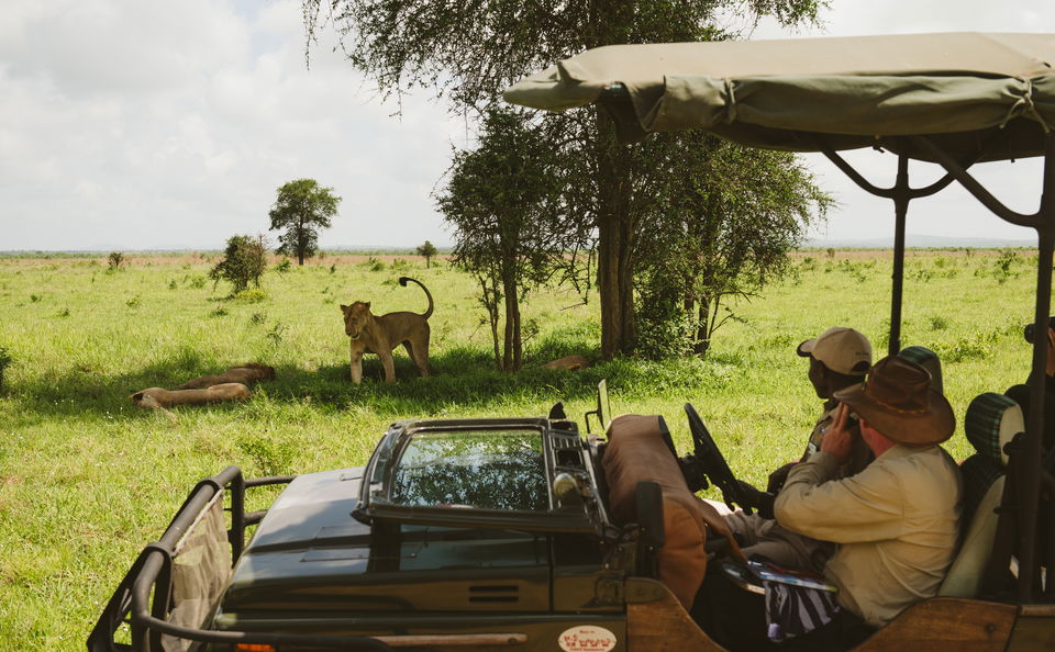 Game Drives