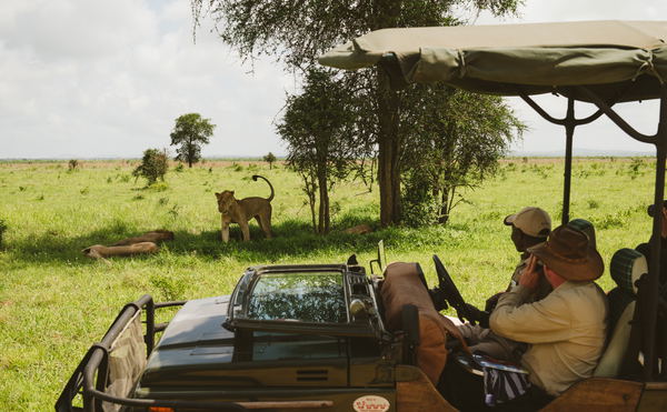 Game Drives in Mikumi National Park