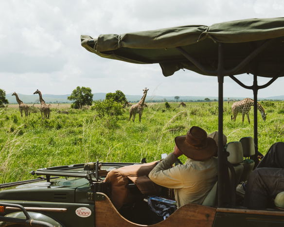 About Foxes Safari Camps