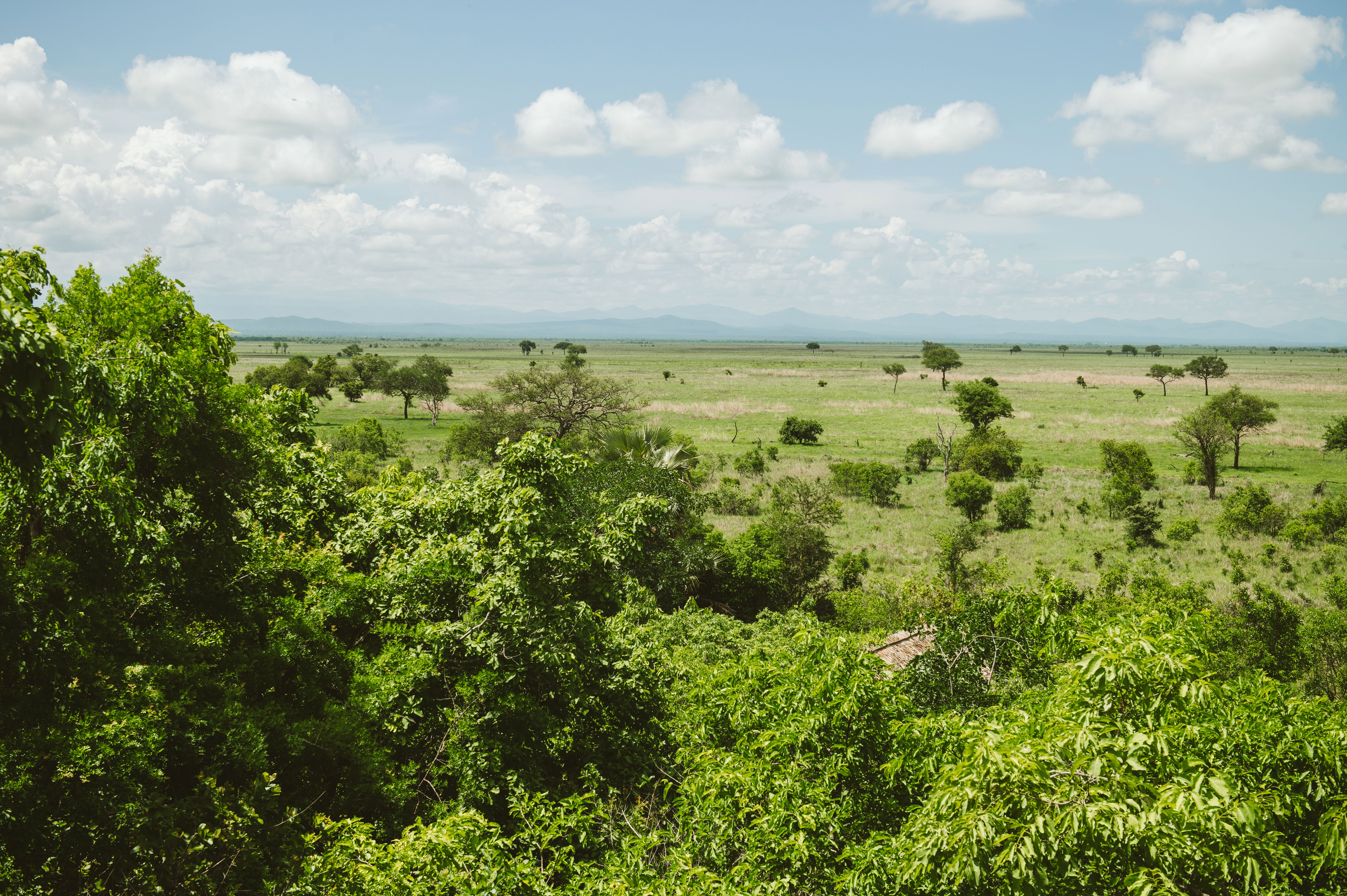 Explore Mikumi National Park