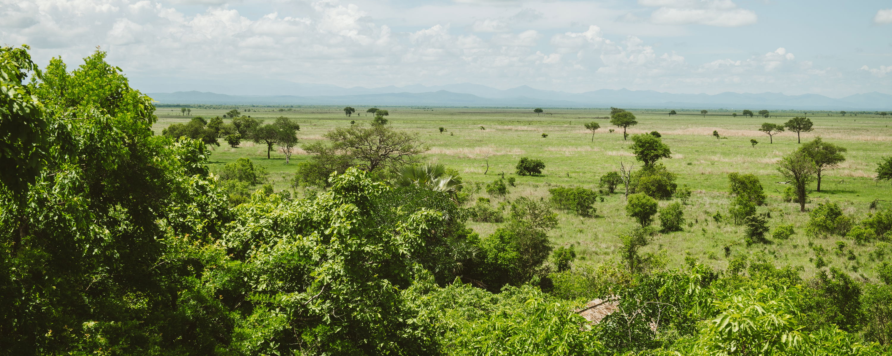 The National Park