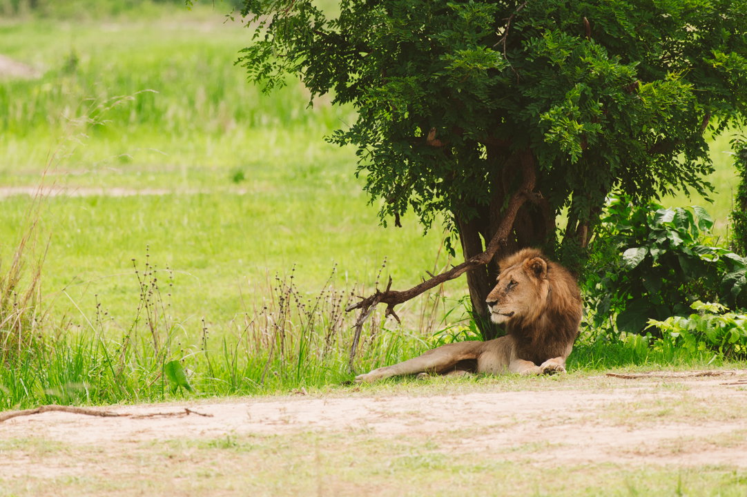 Vuma Hills Tented Camp