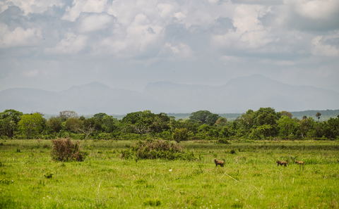 Mikumi National Park History