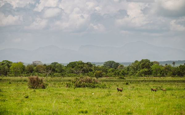 Mikumi National Park History
