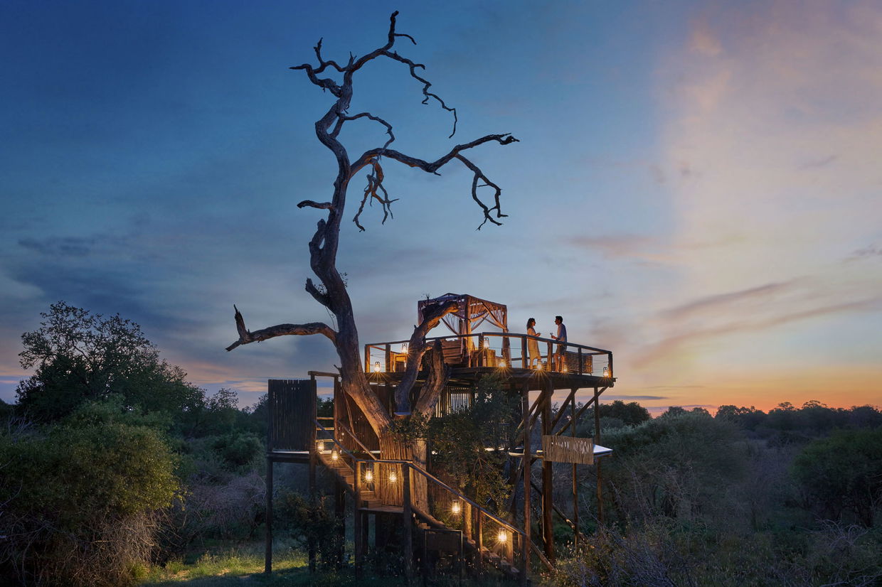 view of Chalkey Treehouse at night by Lion Sands Game Reserve
