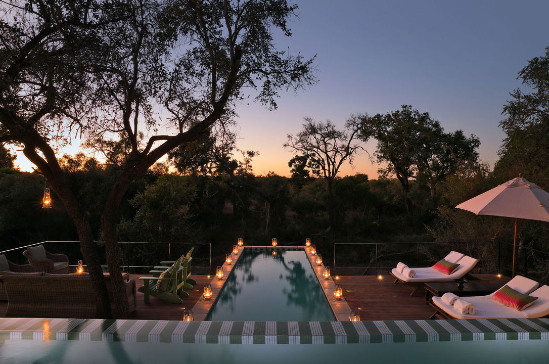 view of the bush at sunset from the pool deck at Royal Malewane Africa House