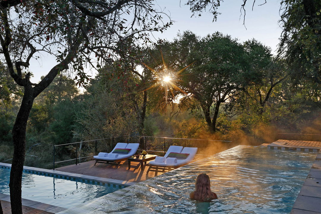 guest relaxing in pool with loungers beyond at Africa House Royal Malewane