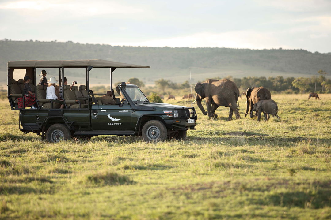 game drive spotting elephants at andBeyond Kichwa Tembo Camp Kenya Masai Mara