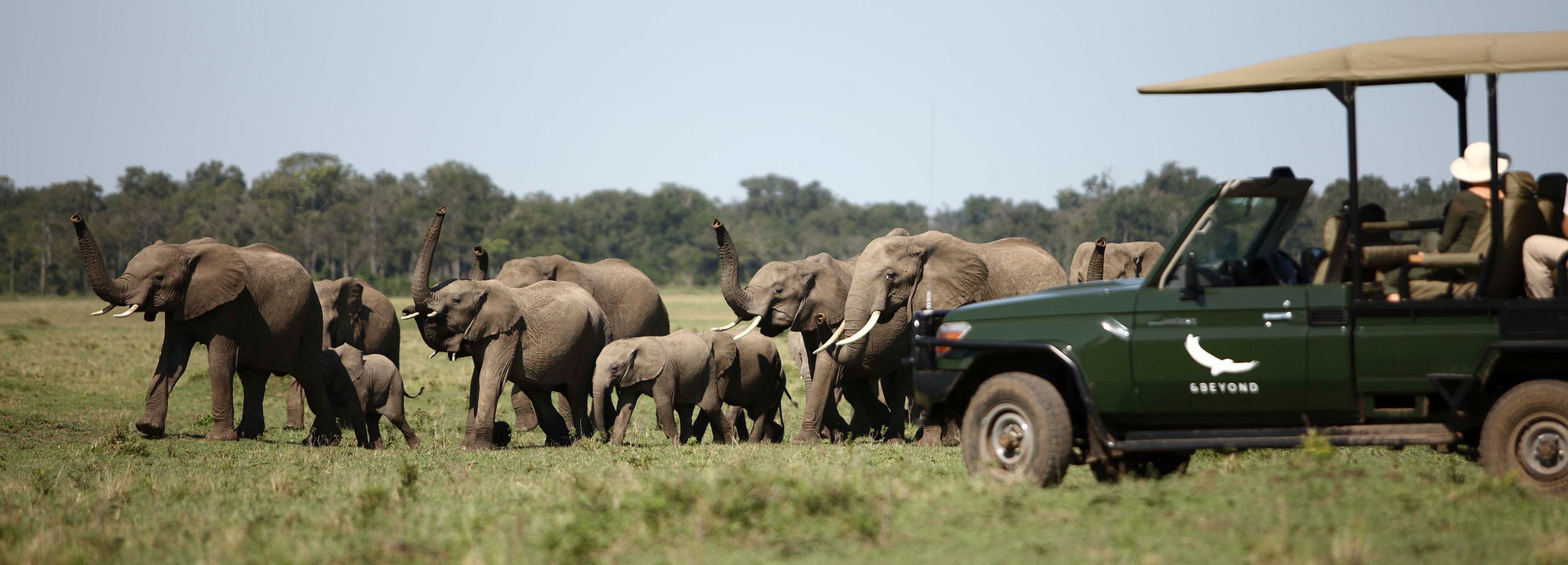 herd of elephants by game drive vehicle of andBeyond Kichwa Tembo Camp Kenya Masai Mara