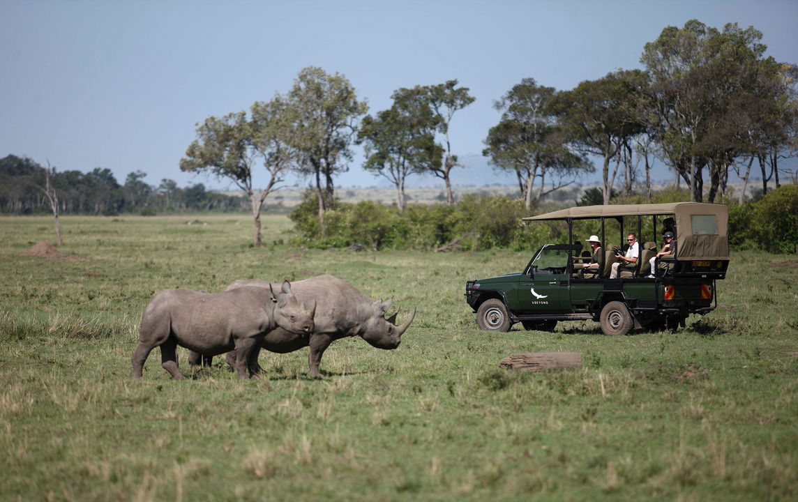 rhinos spotted by game drive vehicle of andBeyond Kichwa Tembo Camp Kenya Masai Mara