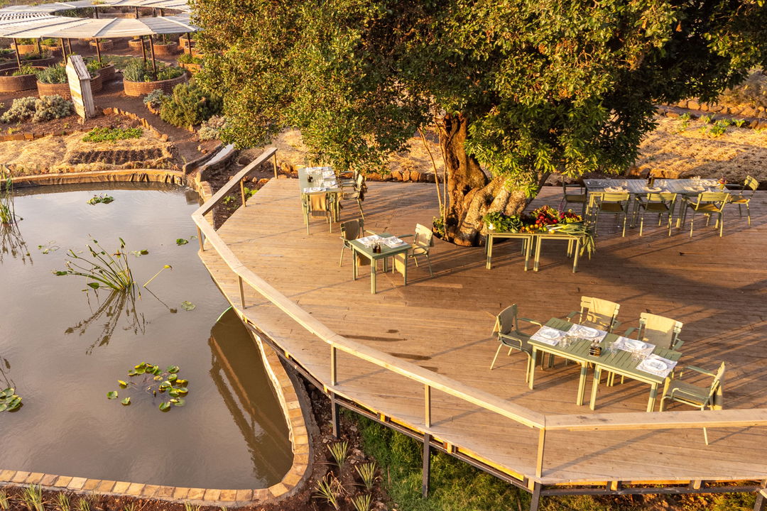 aerial view of the dining area on deck of Angama Mara Kenya Masai Mara