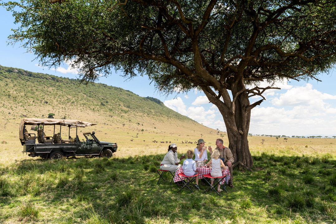 sundowners under a tree with game drive vehicle of Angama Mara Kenya Masai Mara
