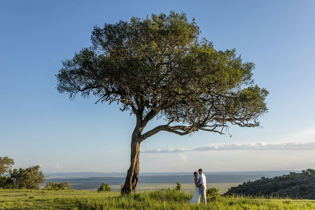 wedding couple under tree in bush of Angama Mara Kenya Masai Mara