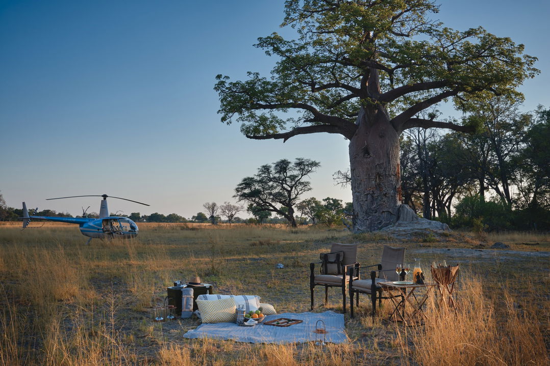 Helicopter parked under Baobab tree with table set for picnic in veld in foreground in Okavango Delta eagle island lodge