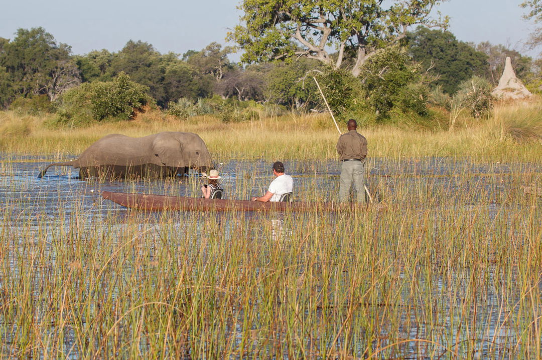 guests and guide in mokoro close to an elephant in the waters of the Okavango delta at Belmond Eagle Island Lodge