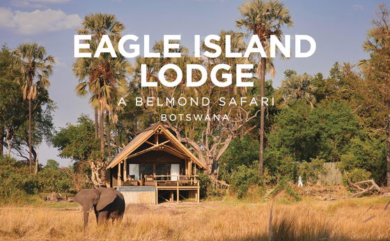 Eagle Island Lodge, A Belmond Safari