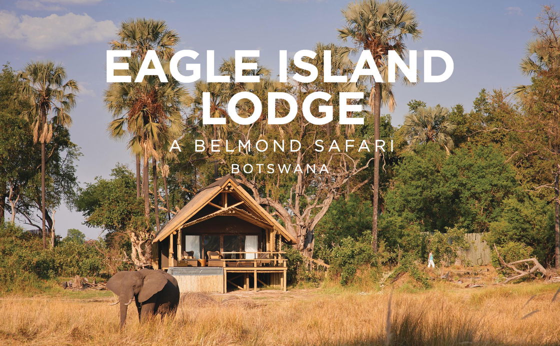 Eagle Island Lodge, A Belmond Safari