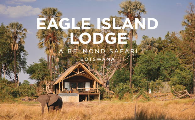 Belmond Eagle Island Lodge with elephant in grassland and logo overlay