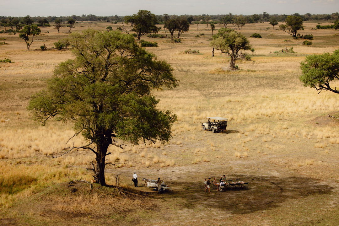 aerial view of a game drive vehicle with guests under a tree on a break at Belmond Eagle Island Lodge