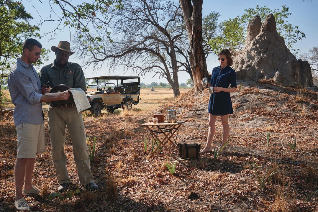 couple under tree talking to guide on safari at Belmond Eagle Island Lodge